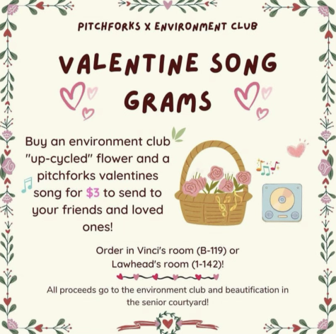 The Environmental Club has partnered with Pitchforks to fundraise for the senior courtyard!