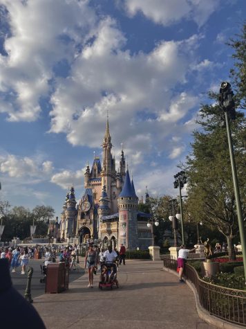 Each day, there are approximately 54,785 visitors to Magic Kingdom.