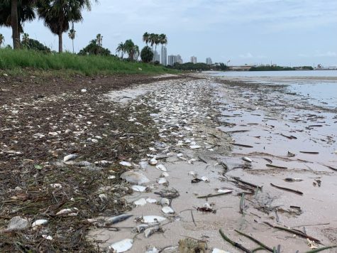 Red tide is being studied extensively and can now be predicted and tracked.